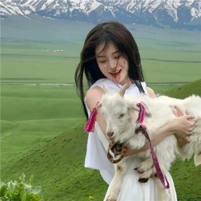 夺宝同盟之凤凰宝藏