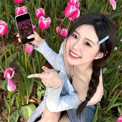 一日看尽长安花